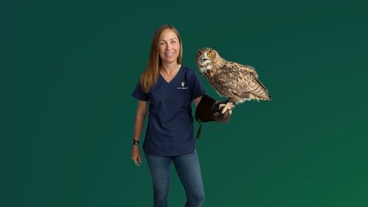 Dr. Oakley, Yukon Vet
