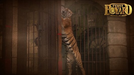 Fort Boyard