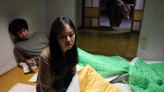 소와 함께 여행하는 법