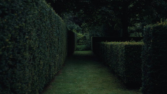 De berg