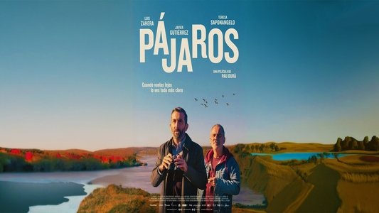 Pájaros