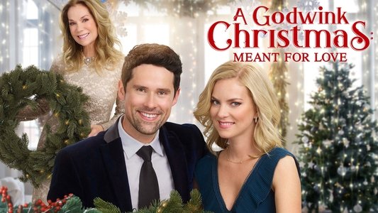 A Godwink Christmas: Meant For Love