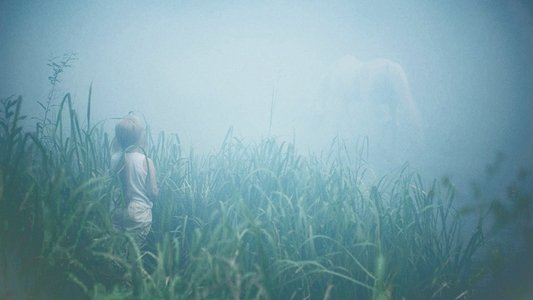 Коли падають дерева
