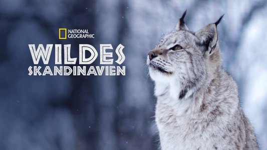 Wild Nordic