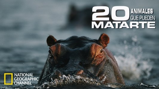 20 Animals That Will Kill You
