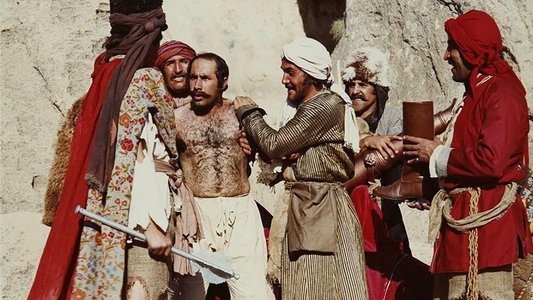 زنبورک