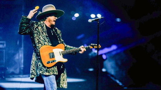 Zucchero | Sugar Fornaciari