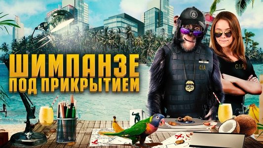 C.I.Ape