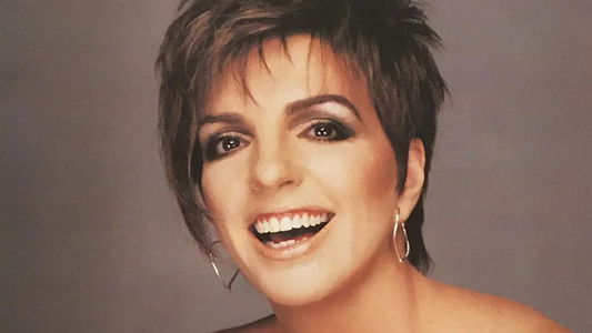 Liza Minnelli: Visible Results