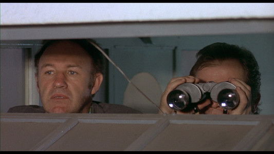 French Connection II