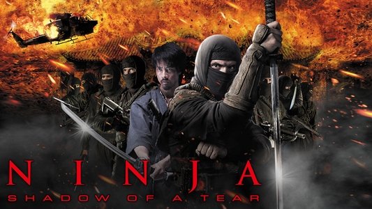 Ninja: Shadow of a Tear