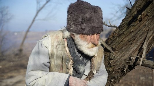 Սպիտակ