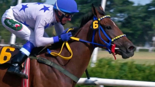Photochart: Nascido Para Vencer