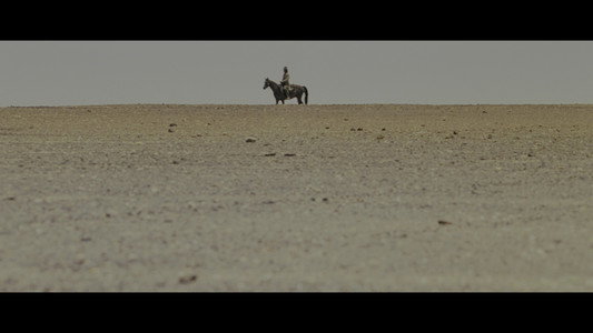 The Proposition