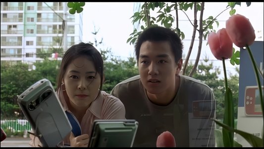 해바라기