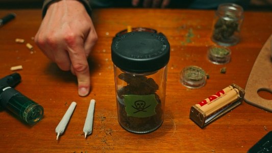 The Tragic Death of a Frenchman
