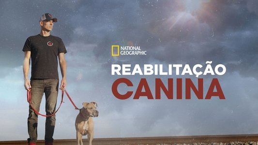 Dog: Impossible