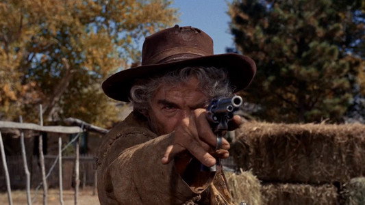 Cat Ballou