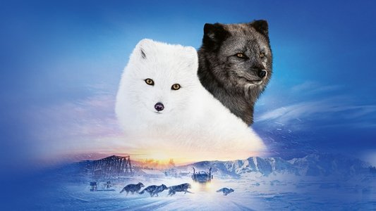 Kina & Yuk : Renards de la banquise