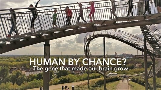 Human By Chance?