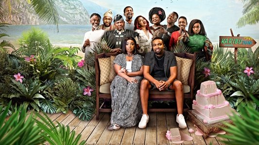 Disconnect: The Wedding Planner