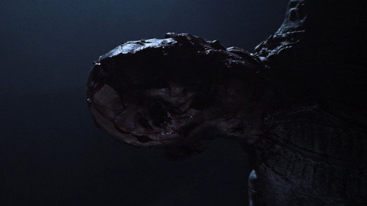 Event Horizon