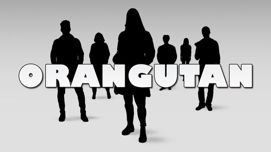 Orangutan