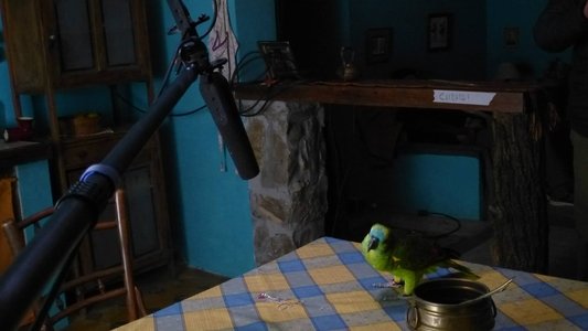 Mi Mamá Lora
