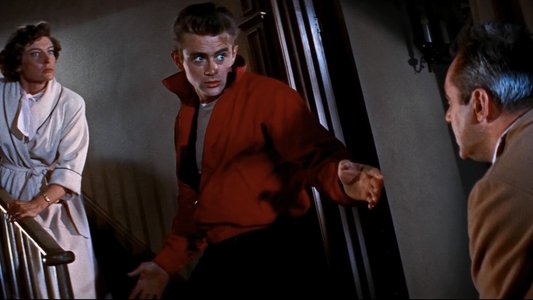 Rebel Without a Cause