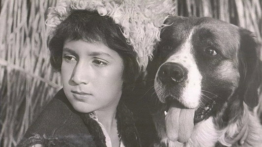 Андриеш