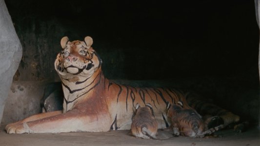 กระบี่, 2562