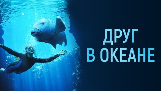 Blueback