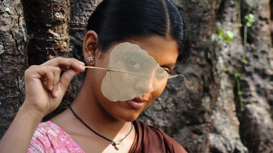 வாகை சூட வா