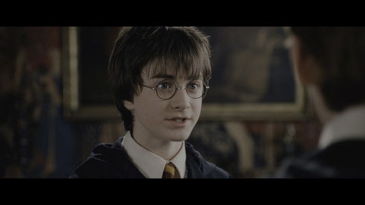 Harry Potter and the Chamber of Secrets