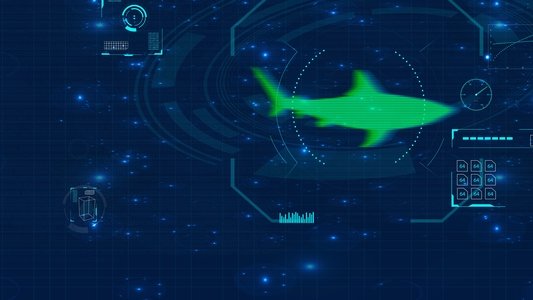 Shark Below Zero