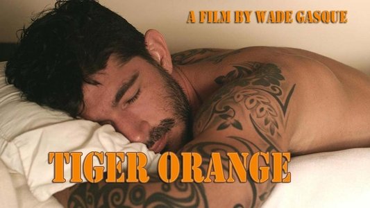 Tiger Orange