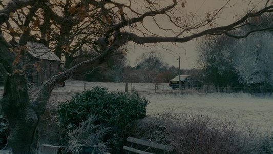 The Holiday