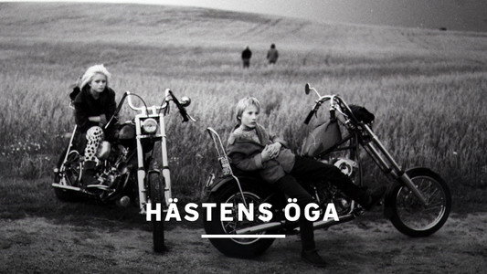 Hästens öga