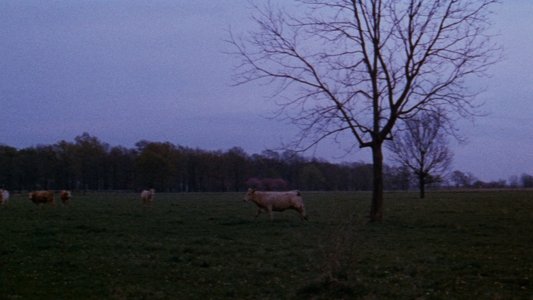 The Legend of Boggy Creek