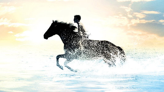 The Black Stallion