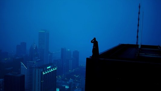 The Dark Knight
