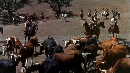 The Raiders