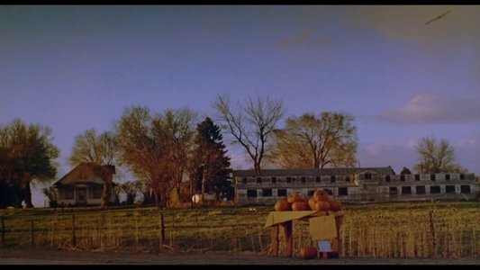 Halloween 4: The Return of Michael Myers