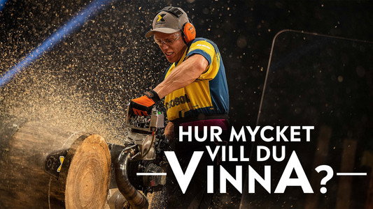 Hur mycket vill du vinna? - Ferry Svans resa
