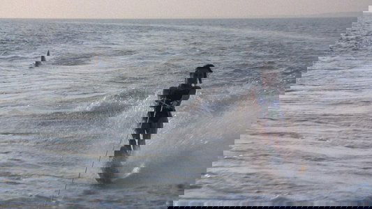 Jaws 2