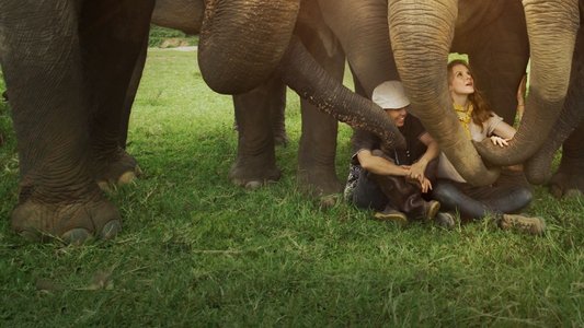Love & Bananas: An Elephant Story