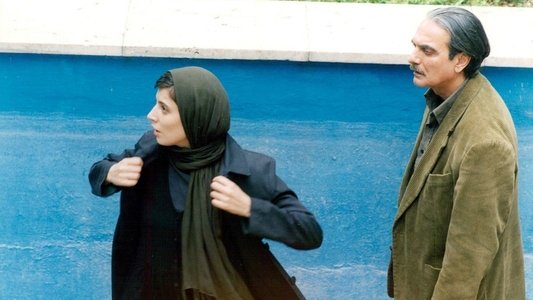 سیمای زنی در دوردست