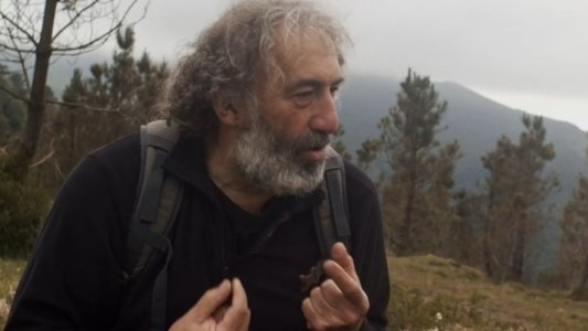 Salvajes, El Cuento Del Lobo