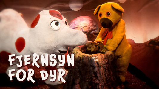 Fjernsyn for dyr - Bamse på planeten