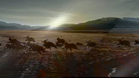 Jurassic World Dominion